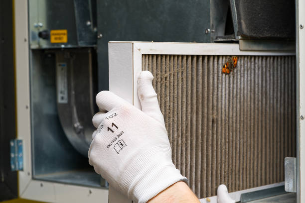 Best Ductwork Cleaning Services  in Abbeville, GA